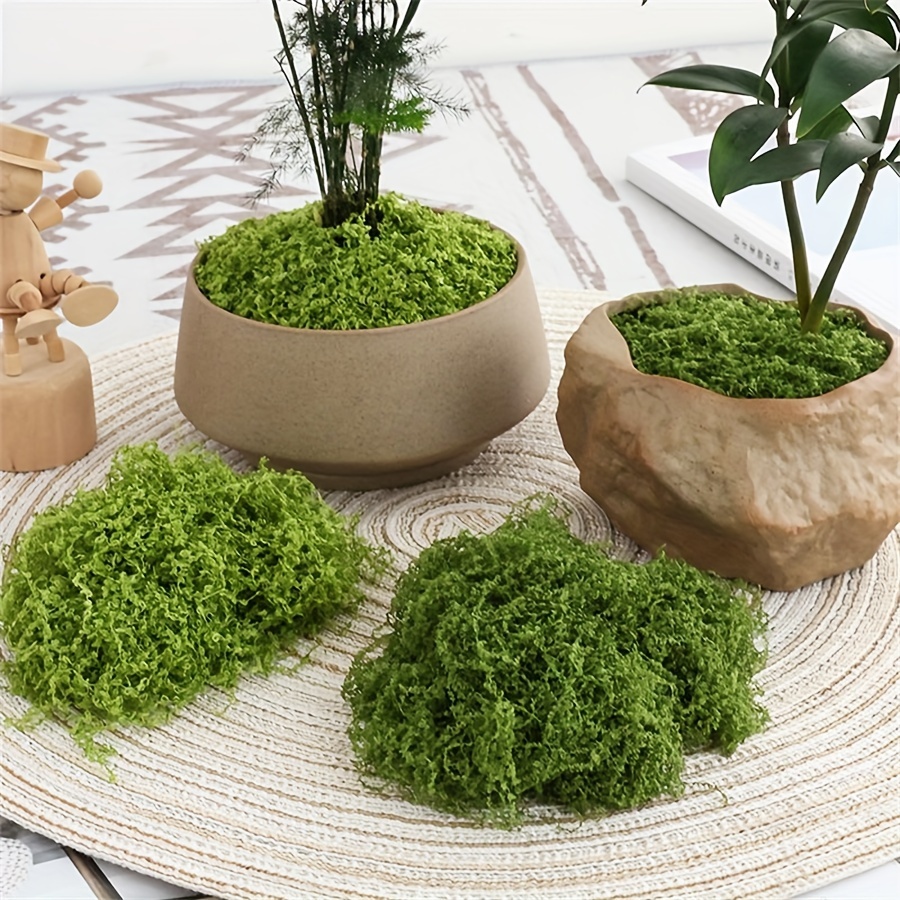 Sphagnum Moss Dry - 1 paket Yapay Sahte Yosun, 1.05