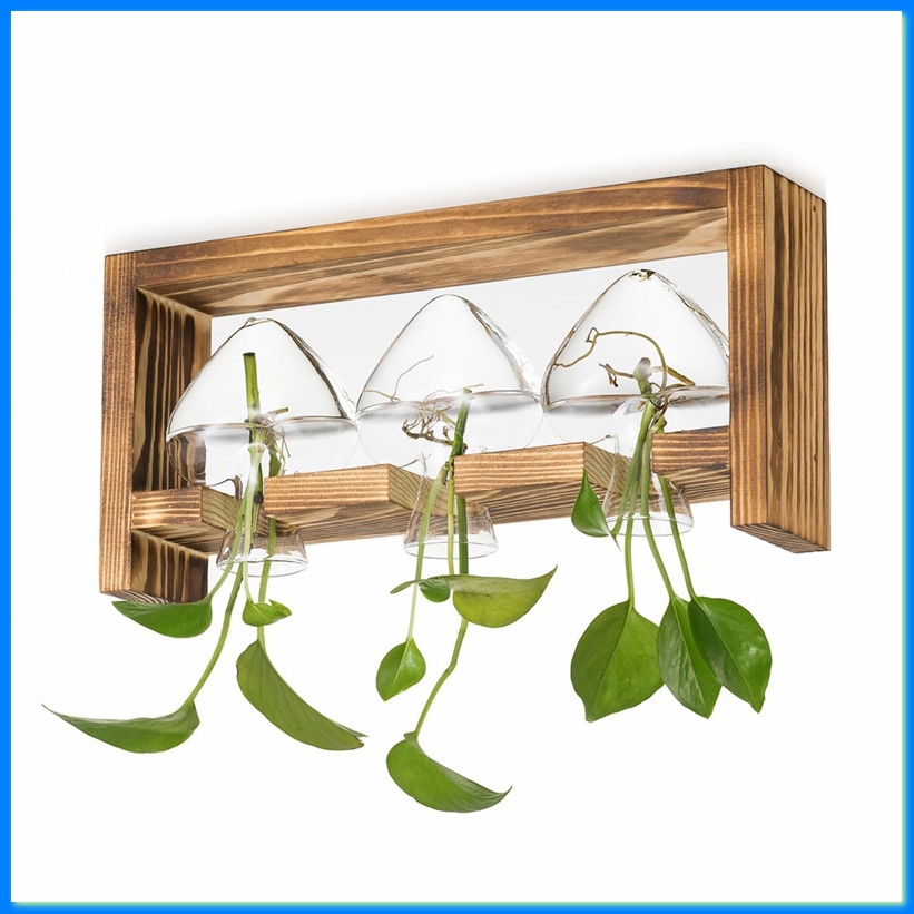 Propagation Station Vase - Bitkiler için Cam Üretim İstasyonu: Oturma