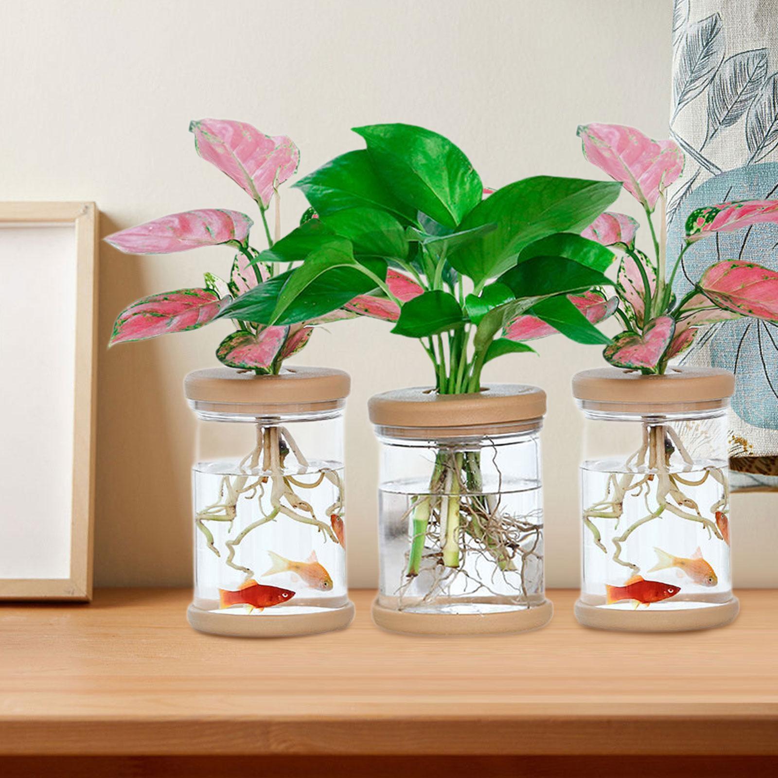 Propagation Station Vase - 3 Adet Topraksız Çiçek Vazoları Çiftlik