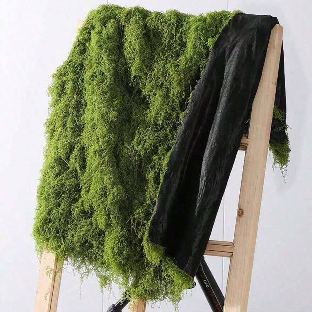 Sphagnum Moss Dry - 1*1 m Sahte Yosun DIY El