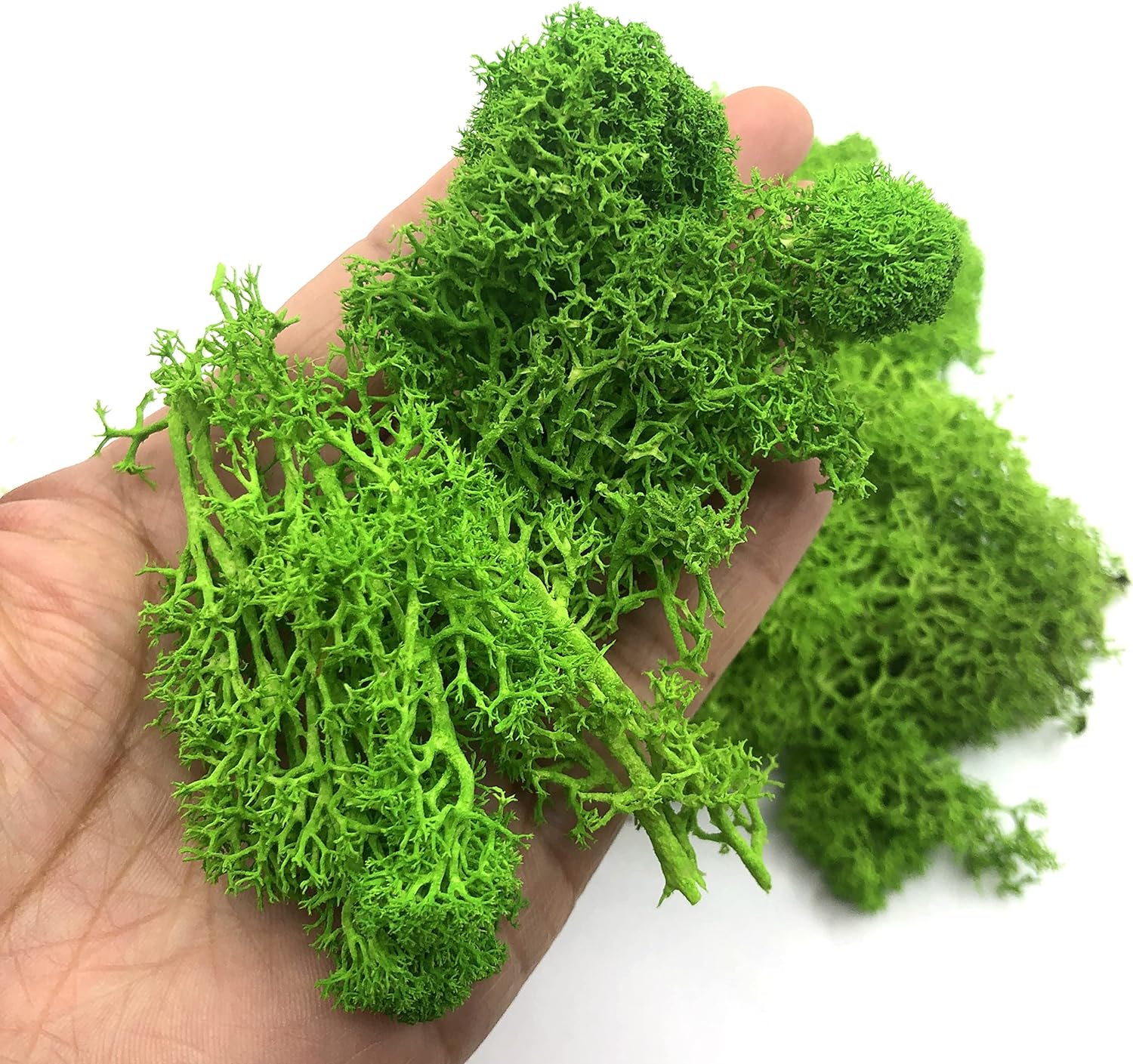 Sphagnum Moss Dry - 200g Yapay Yeşil Bitkiler Mini Peyzaj