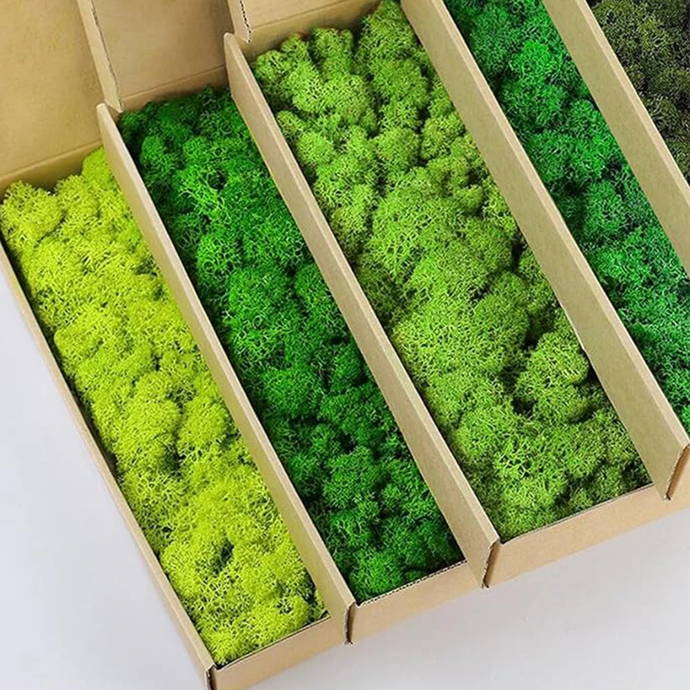 20-200g Yapay Yeşil Bitkiler S - Sphagnum Moss Dry incelemesi ve fiyatı