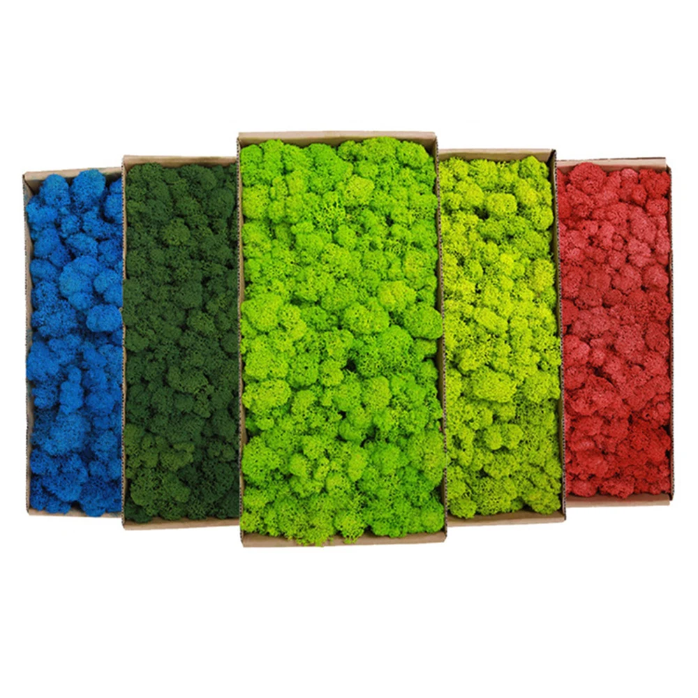 20-200g Yapay Yeşil Bitkiler S - Sphagnum Moss Dry incelemesi ve fiyatı