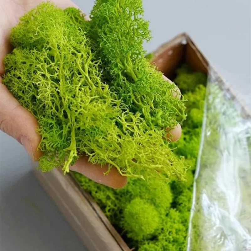 20-200g Yapay Yeşil Bitkiler S - Sphagnum Moss Dry incelemesi ve fiyatı