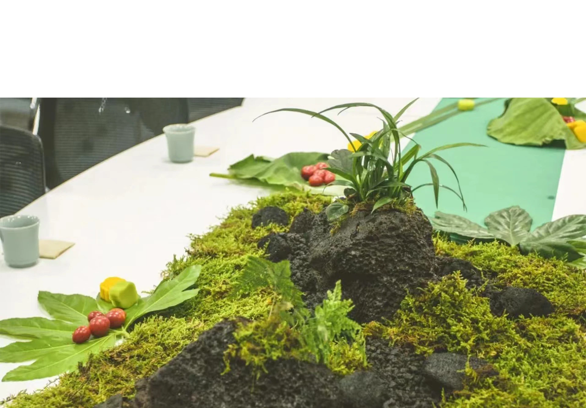 Saksı Bitkileri için Sahte Yos - Sphagnum Moss Dry incelemesi ve fiyatı