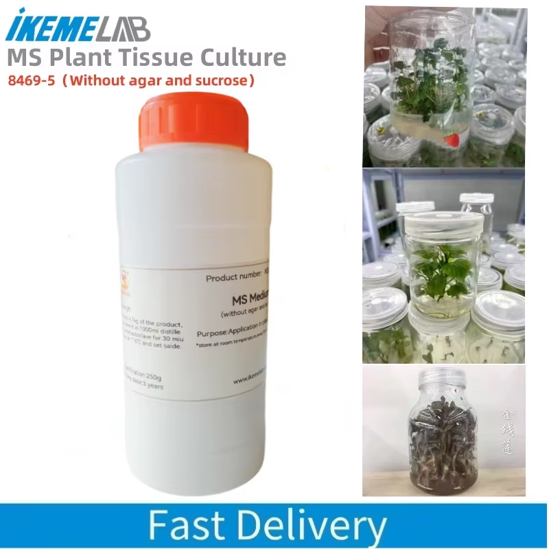 IKEME 250g Lab MS Medium Agar  - Agar Tissue Culture incelemesi ve fiyatı