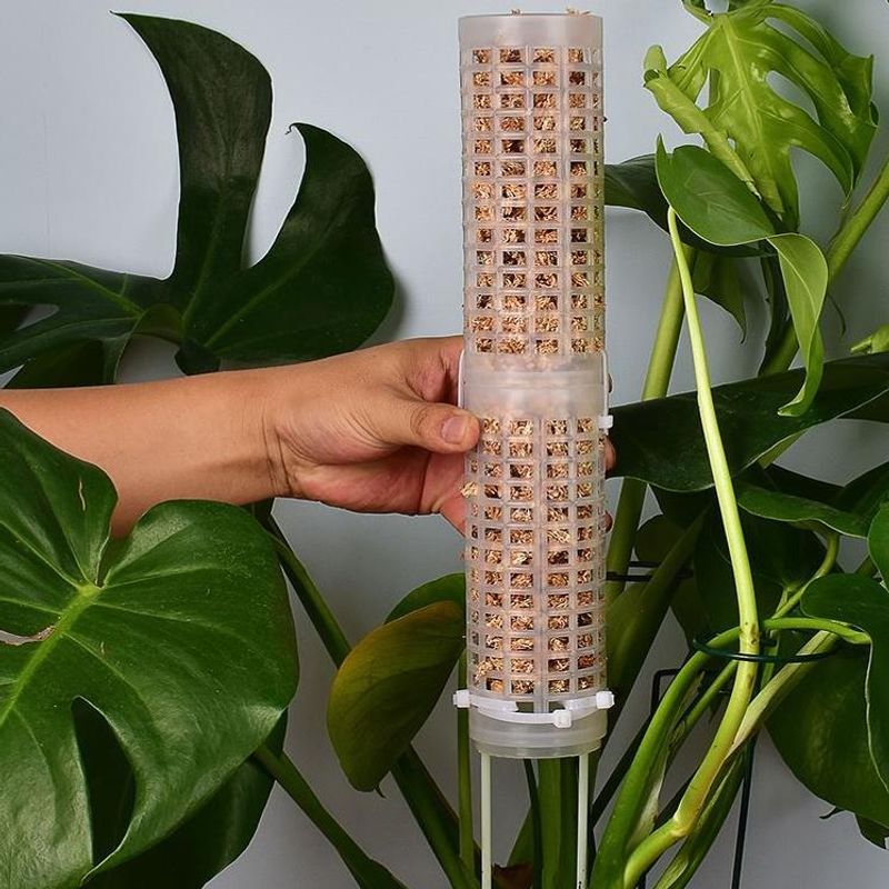 Aksesuar Plastikler Yosun Çubu - Sphagnum Moss Dry incelemesi ve fiyatı
