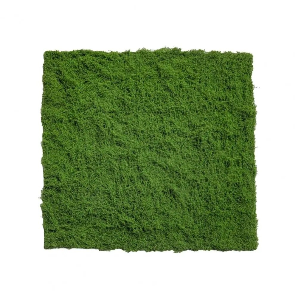 Kendin Yap Yapay Çim Halı Daya - Sphagnum Moss Dry incelemesi ve fiyatı
