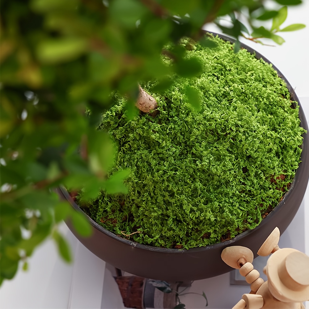 1 paket Yapay Sahte Yosun, 1.0 - Sphagnum Moss Dry incelemesi ve fiyatı