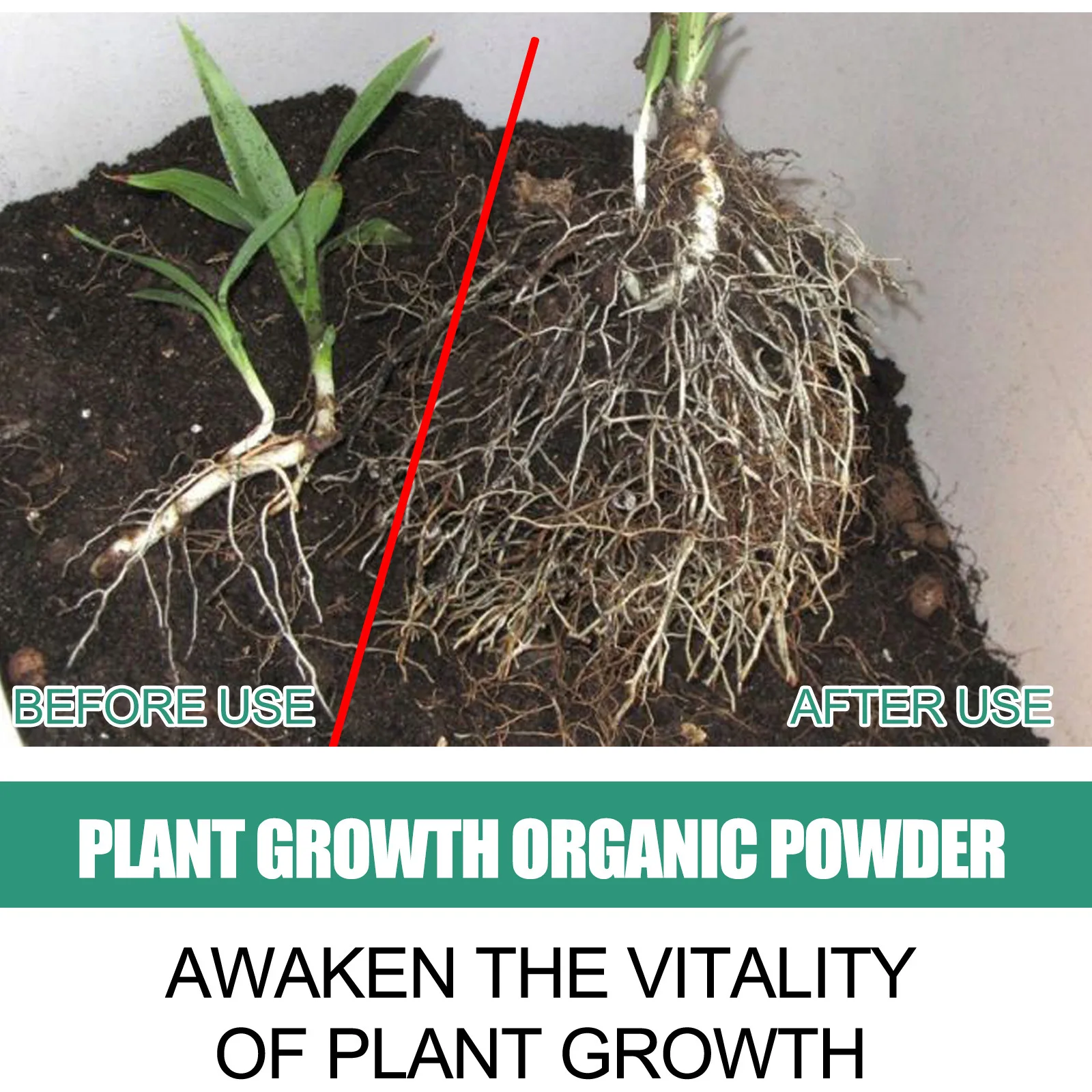 Hızlı Köklendirme Tozu Bitki T - Rooting Hormone Powder incelemesi ve fiyatı