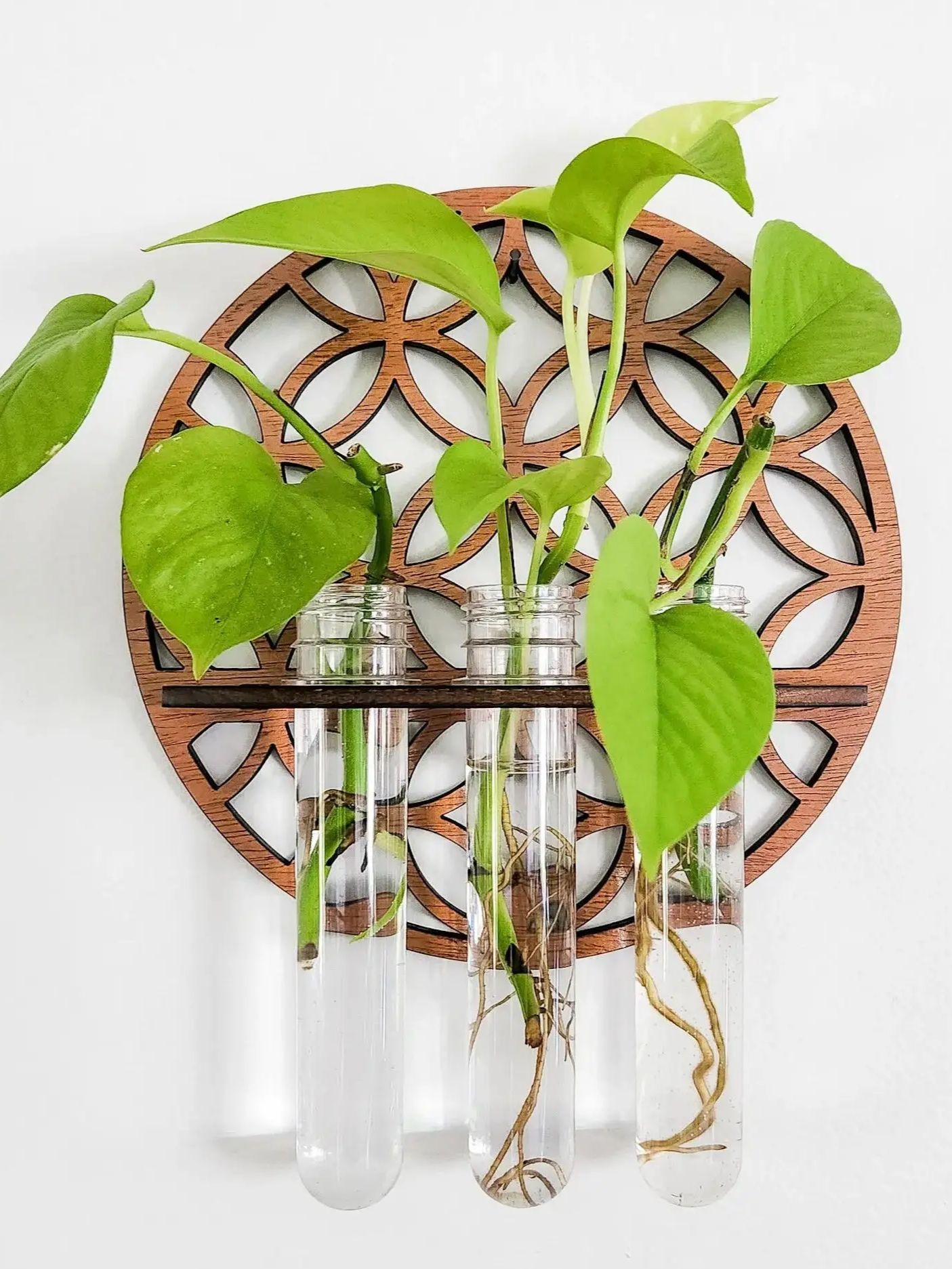 Bahçe Duvarı Yetiştiricilerini - Propagation Station Vase incelemesi ve fiyatı