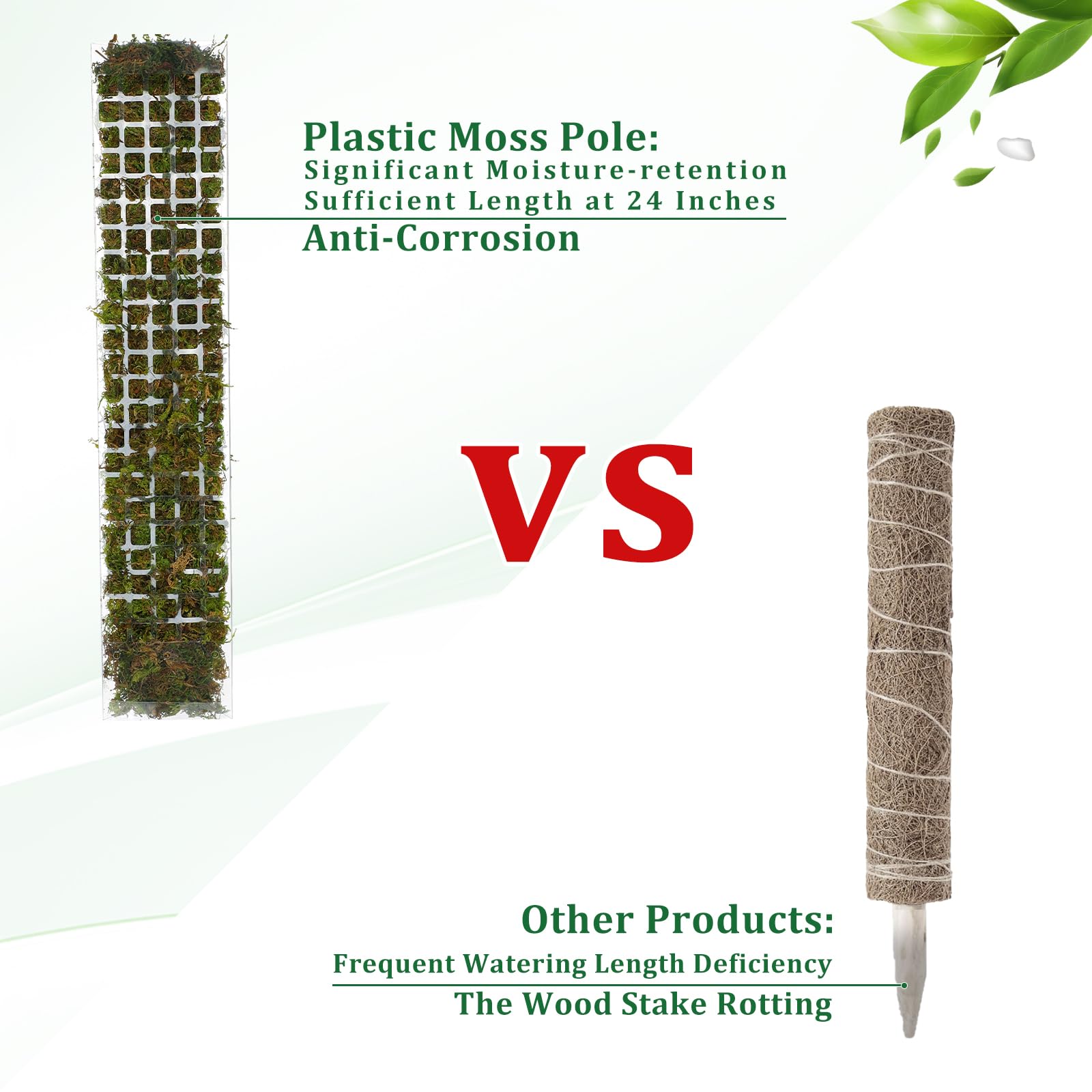 Yosun Direği Plastik Bitki Sta - Sphagnum Moss Dry incelemesi ve fiyatı