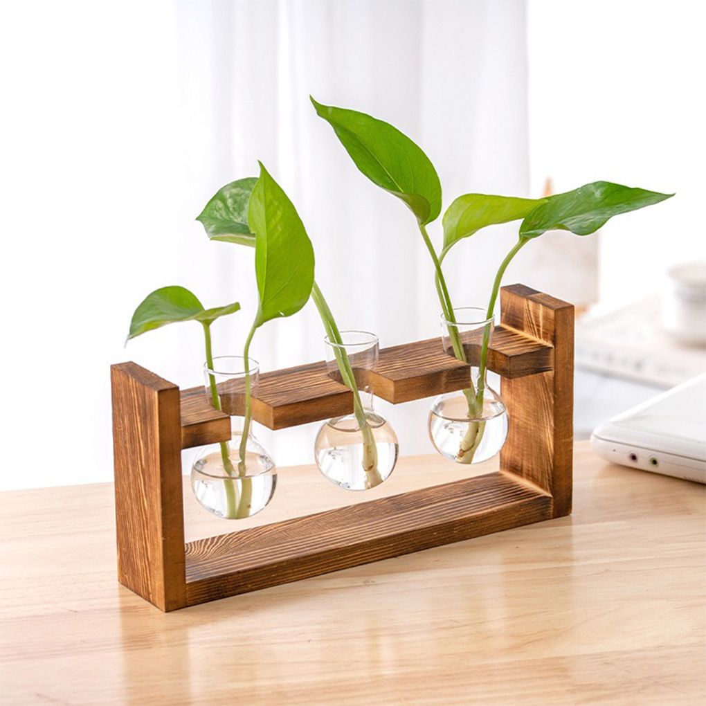 Vasalar Ev Ofis Hidroponik Sak - Propagation Station Vase incelemesi ve fiyatı