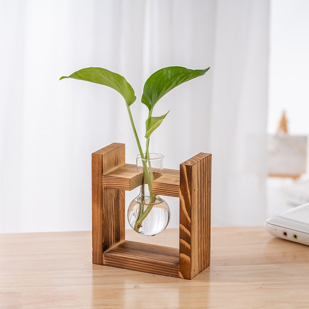 Vasalar Ev Ofis Hidroponik Sak - Propagation Station Vase incelemesi ve fiyatı