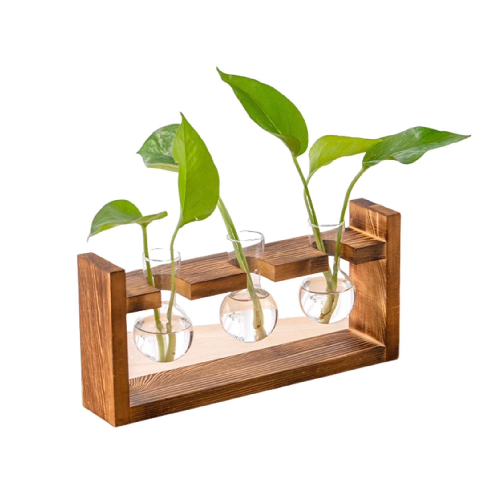Vasalar Ev Ofis Hidroponik Sak - Propagation Station Vase incelemesi ve fiyatı