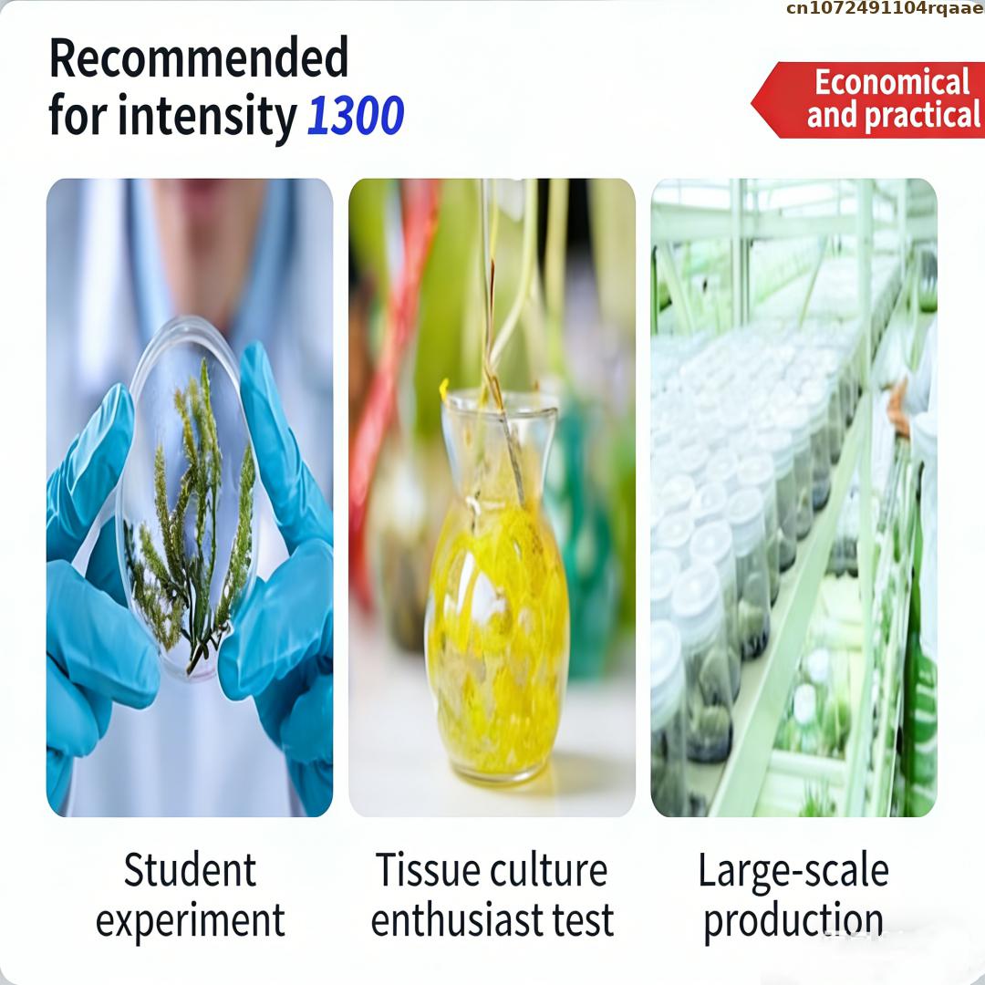 Premium Bitki Doku Kültürü Aga - Agar Tissue Culture incelemesi ve fiyatı