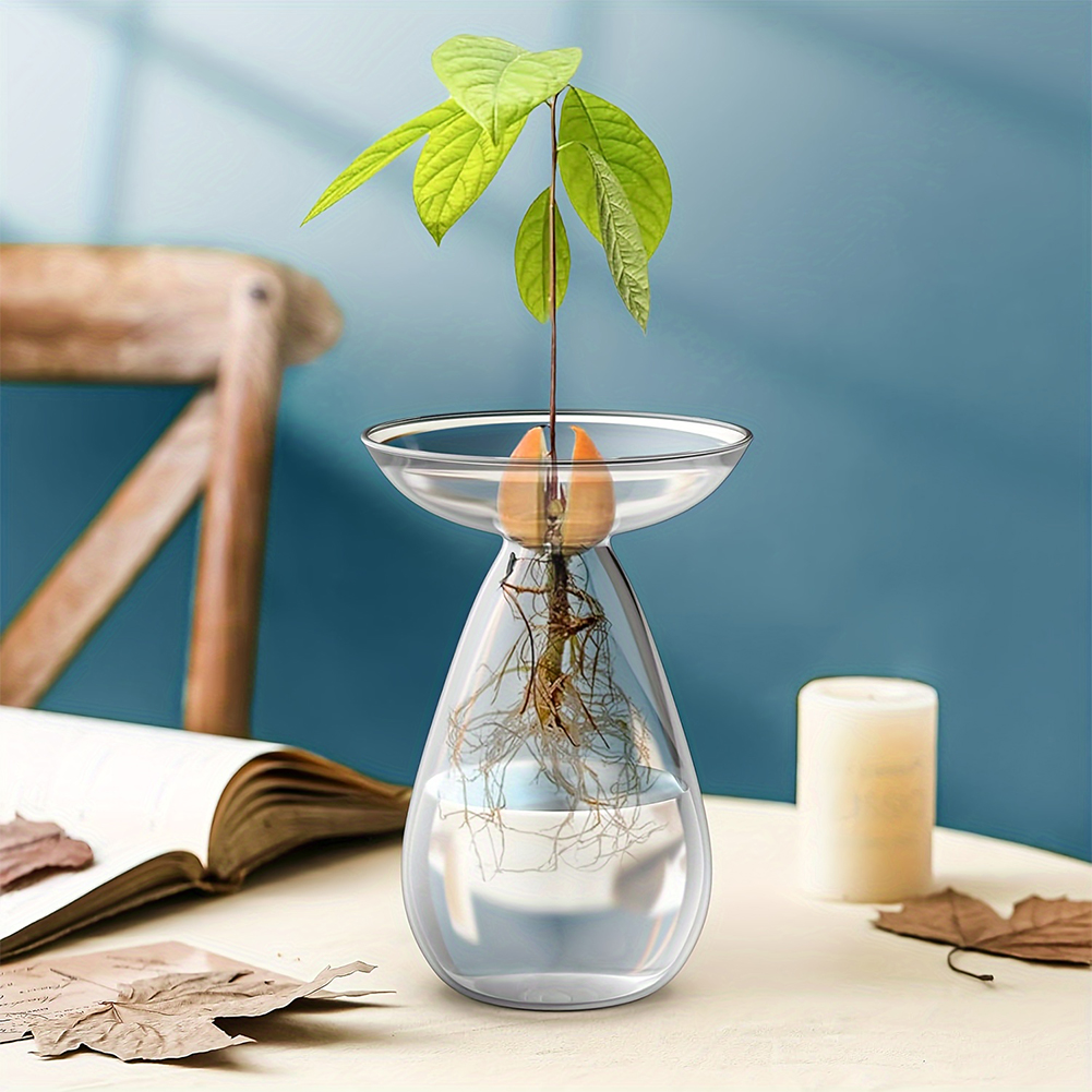 Avokado Çekirdeği Başlangıç ​​ - Propagation Station Vase incelemesi ve fiyatı