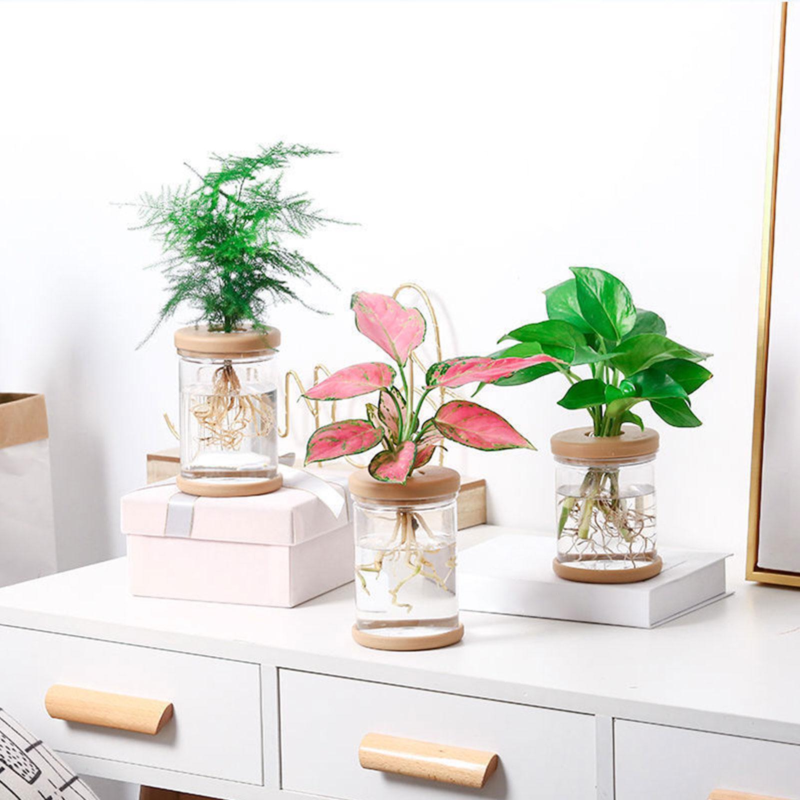 3 Adet Topraksız Çiçek Vazolar - Propagation Station Vase incelemesi ve fiyatı