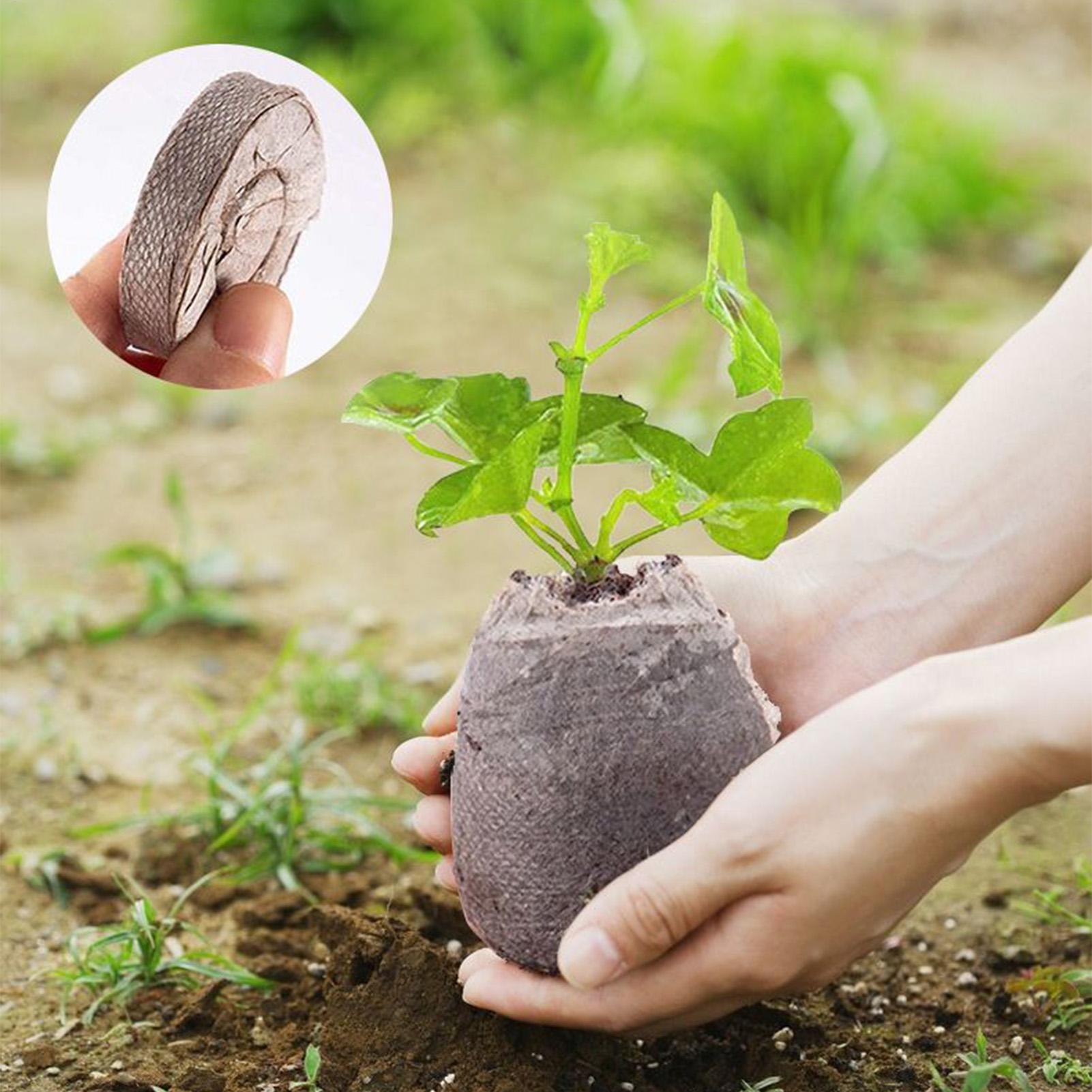 100 Adet Saksı Karışım Tepsisi - Peat Pellet Tray incelemesi ve fiyatı