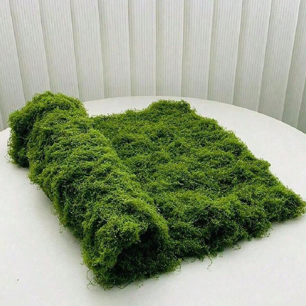 1*1 m Sahte Yosun DIY El Sanat - Sphagnum Moss Dry incelemesi ve fiyatı