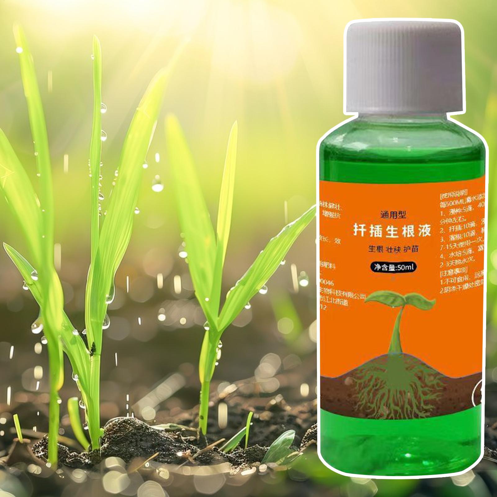 Bitki Kesimleri için Yüksek Ve - Root Stimulator Liquid incelemesi ve fiyatı