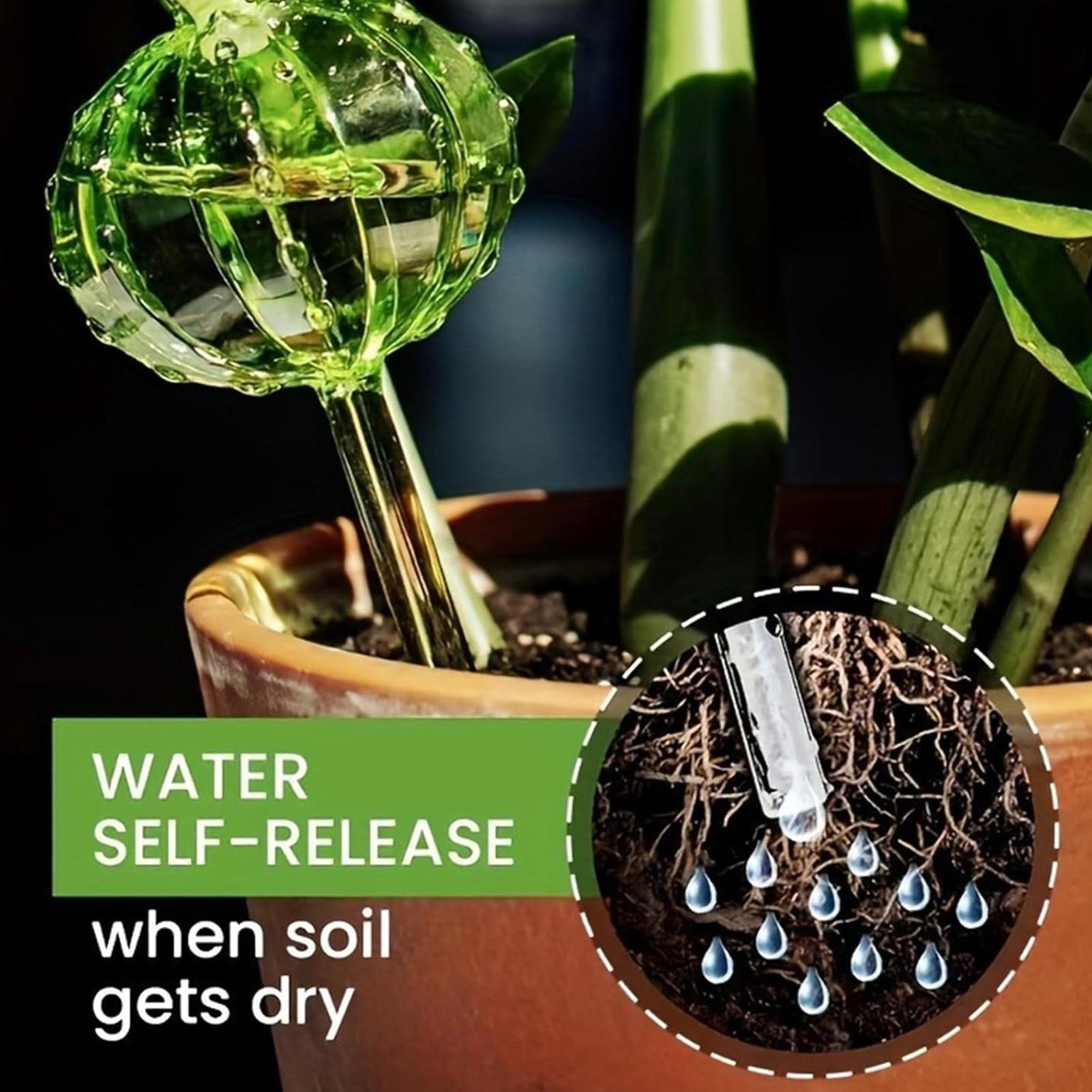 Bitki Sulama Kazıkları 3 Parça - Self Watering Insert incelemesi ve fiyatı