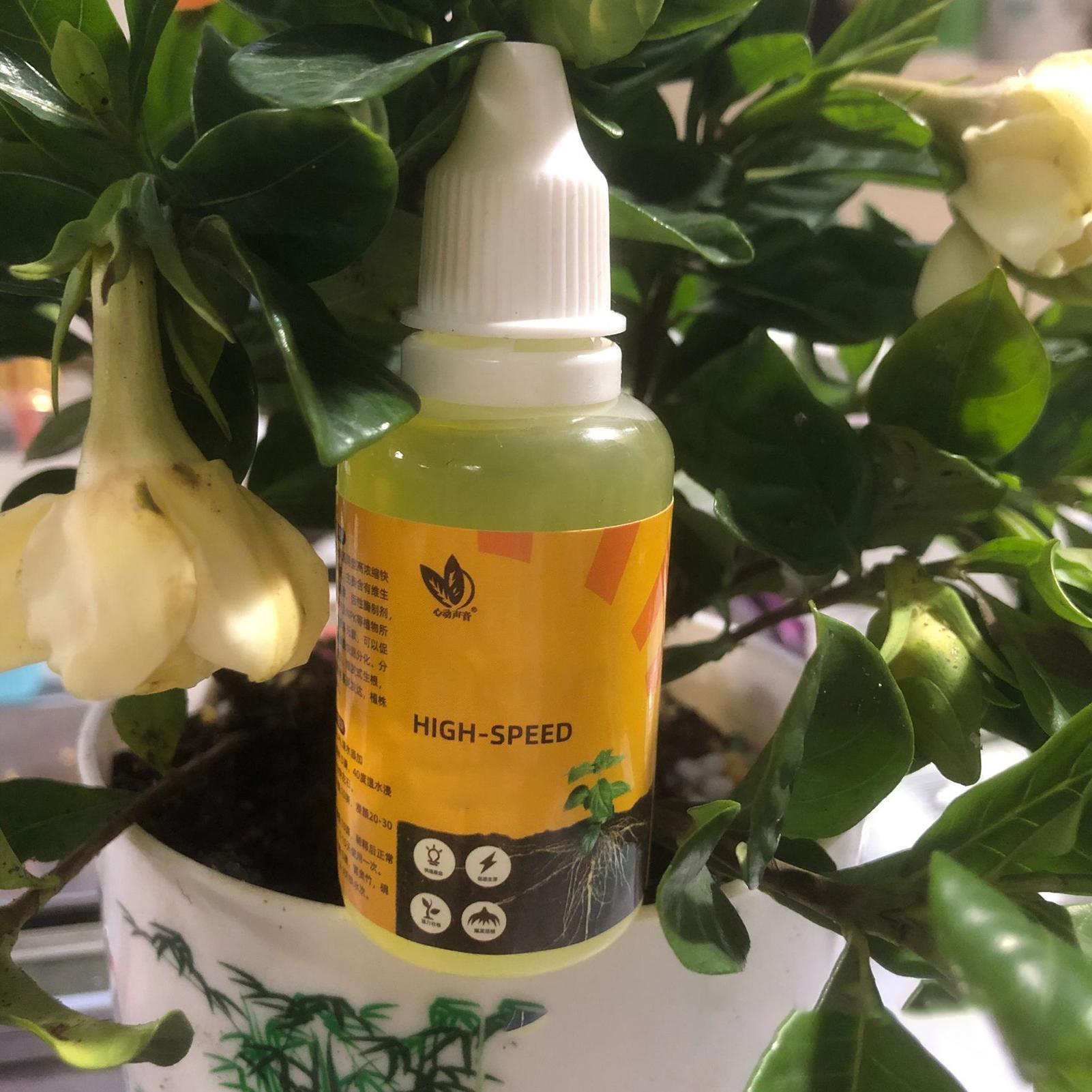 Bitki Hızlı Köklenme Çözümü 50 - Root Stimulator Liquid incelemesi ve fiyatı