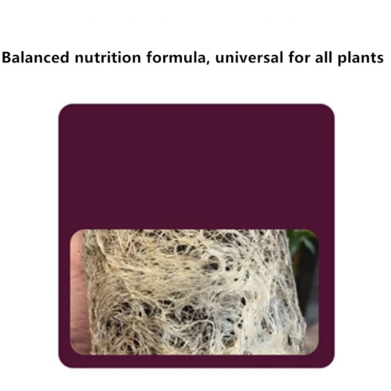 2 torba Köklendirme Hormonu To - Rooting Hormone Powder incelemesi ve fiyatı