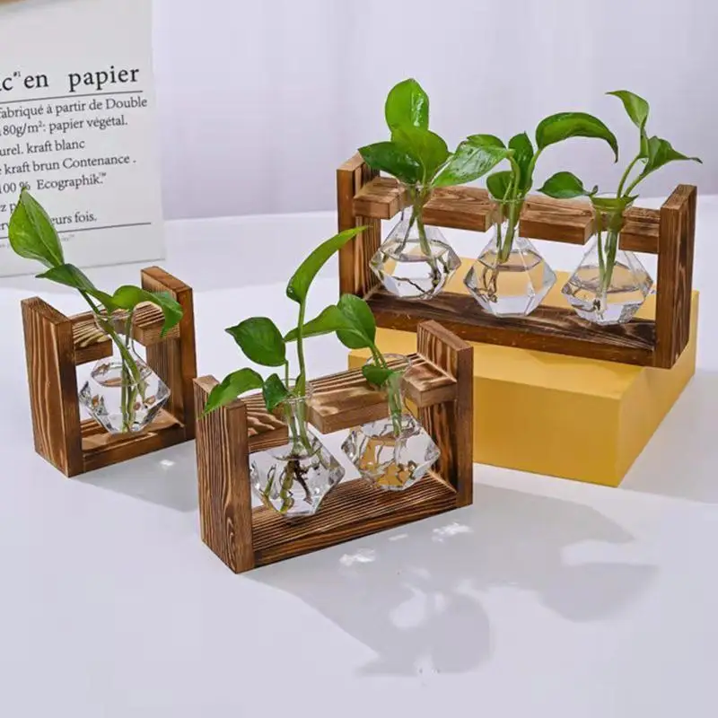 〔20E〕 | Masa Üstü Cam Saksı Ür - Propagation Station Vase incelemesi ve fiyatı