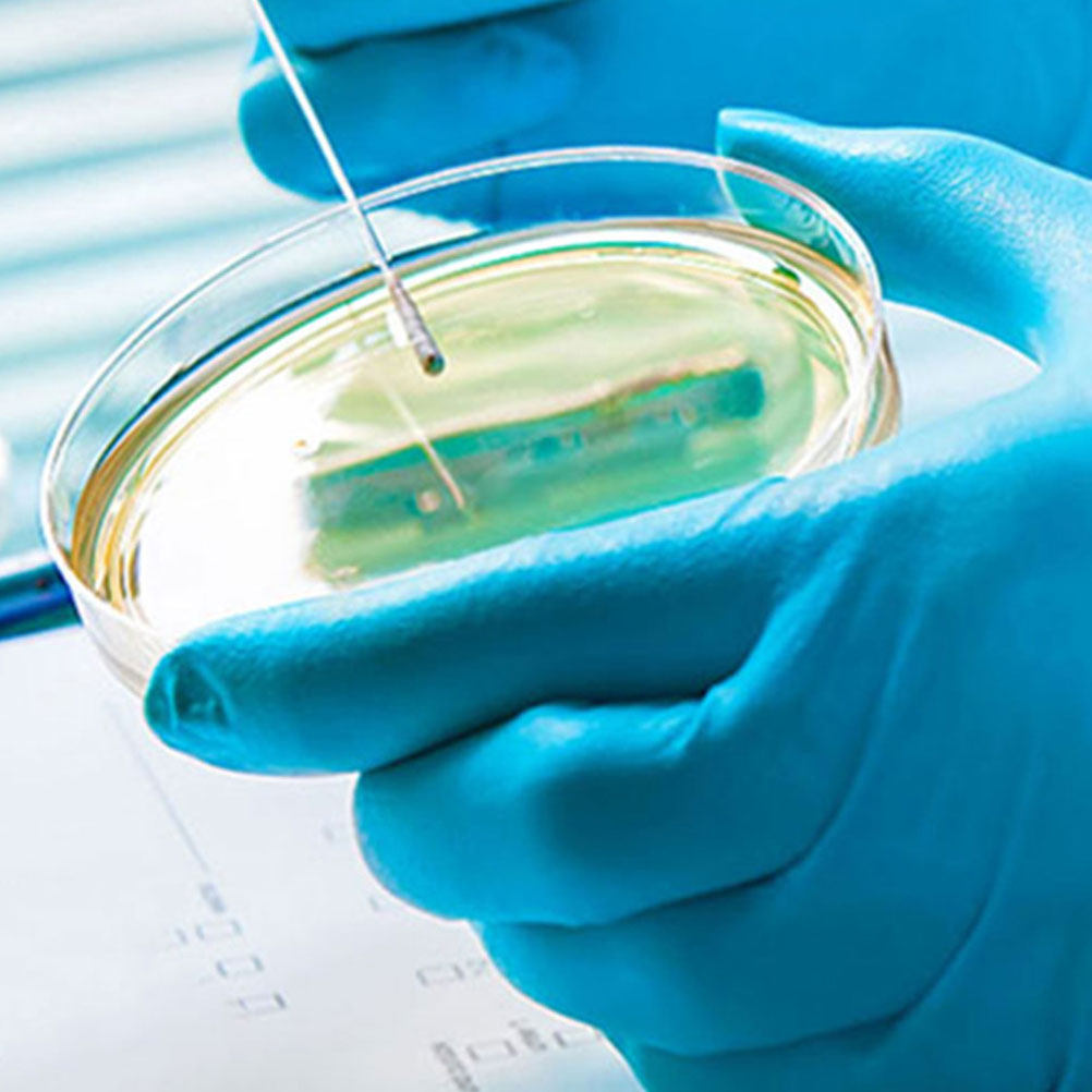 10 adet plastik Petri kapları  - Agar Tissue Culture incelemesi ve fiyatı