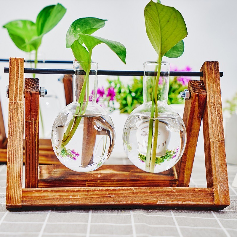 Masa üstü cam ekici yayılım is - Propagation Station Vase incelemesi ve fiyatı
