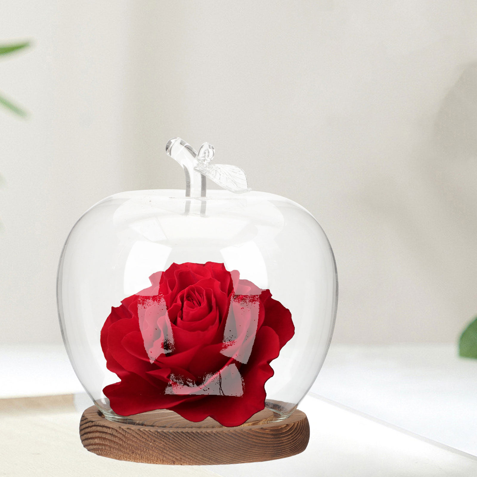 2 Adet Ahşap Tabanlı Şeffaf Ca - Plastic Dome Clear incelemesi ve fiyatı