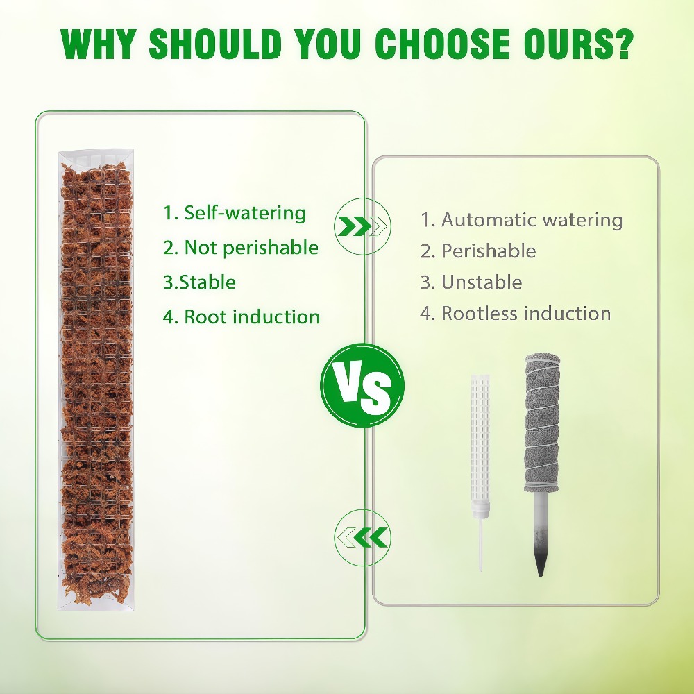 Yosun Çubuğu Plastik Bitki Sta - Sphagnum Moss Dry incelemesi ve fiyatı